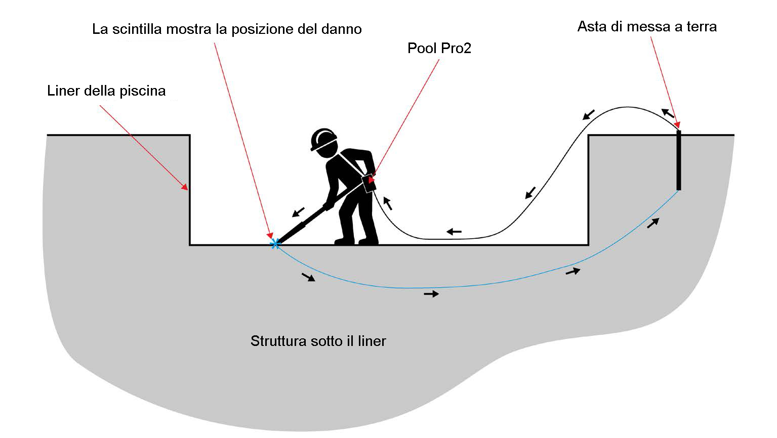 buckleys pool pro2 schema 02